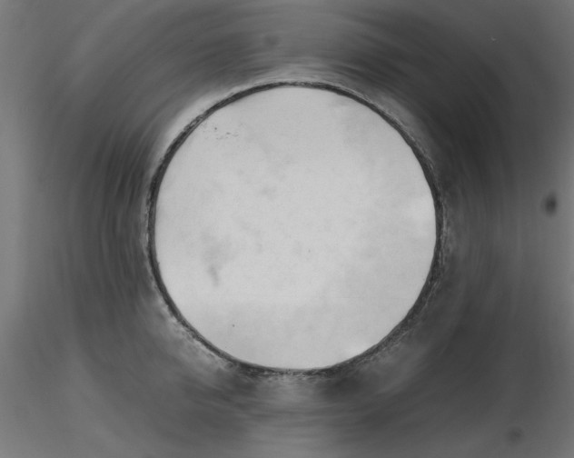 X0000116680950200912291716