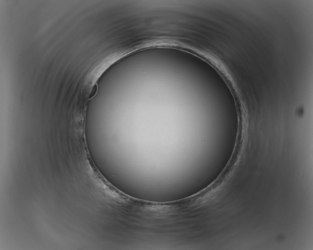 X0000116680953200912291716