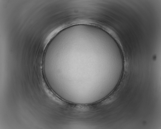 X0000116680954200912291716