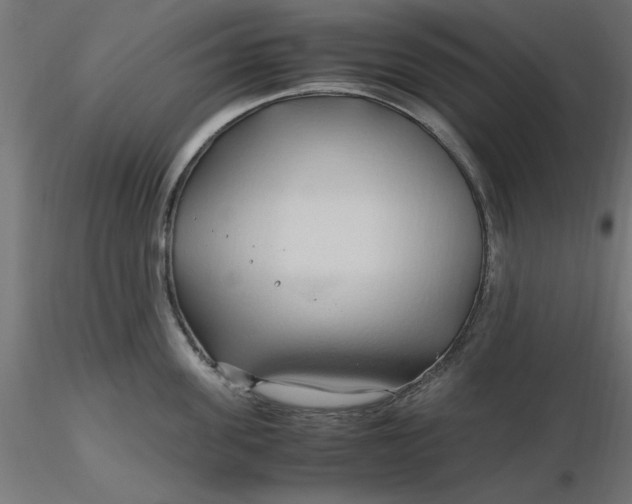 X0000116680955200912291716