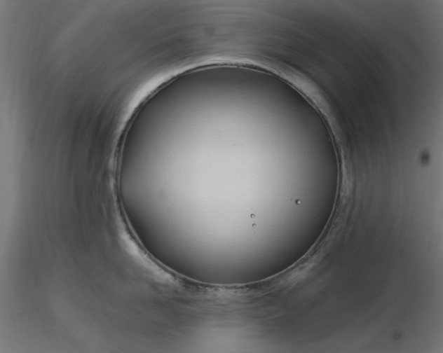 X0000116680958200912291717