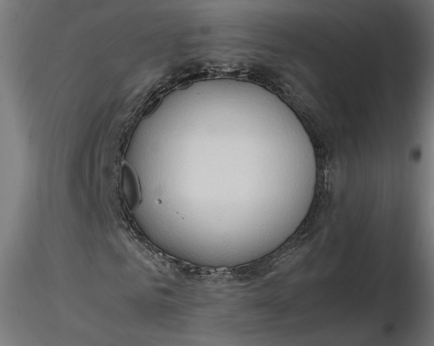 X0000116680961200912291716