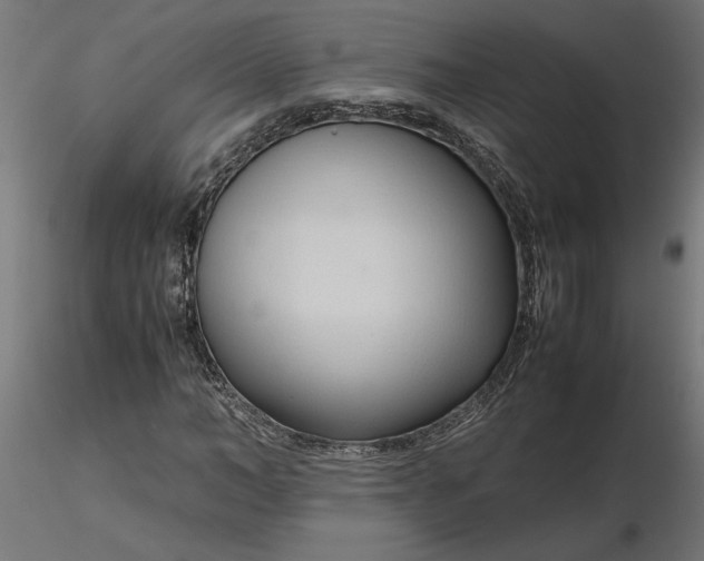 X0000116680966200912291716