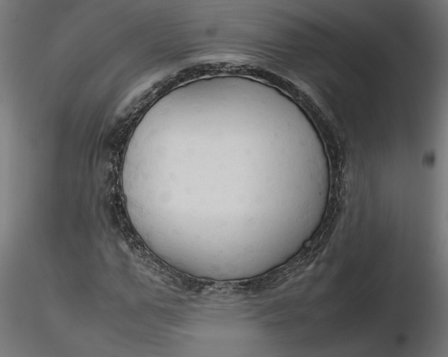 X0000116680967200912291716