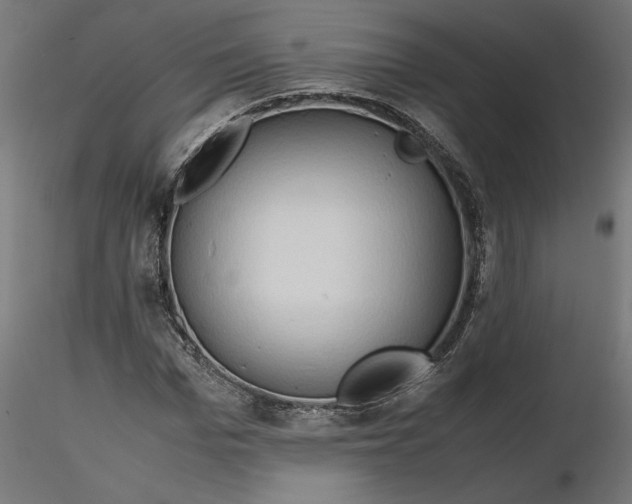 X0000116680969200912291716