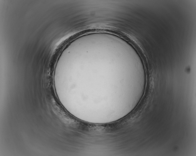 X0000116680971200912291716