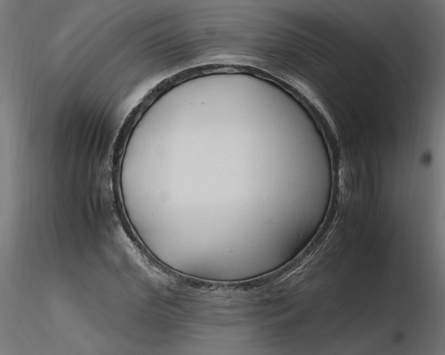 X0000116680972200912291716