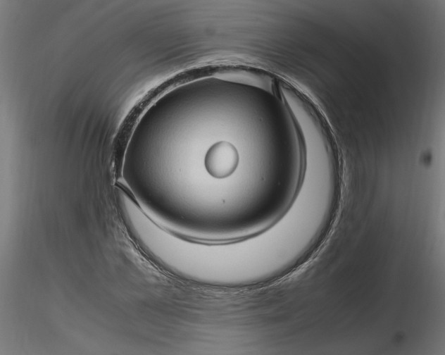 X0000116680973200912291716