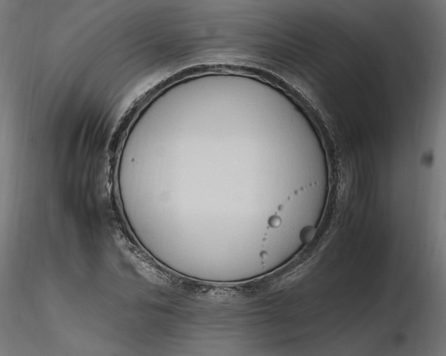 X0000116680974200912291716