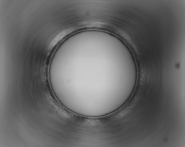 X0000116680978200912291716