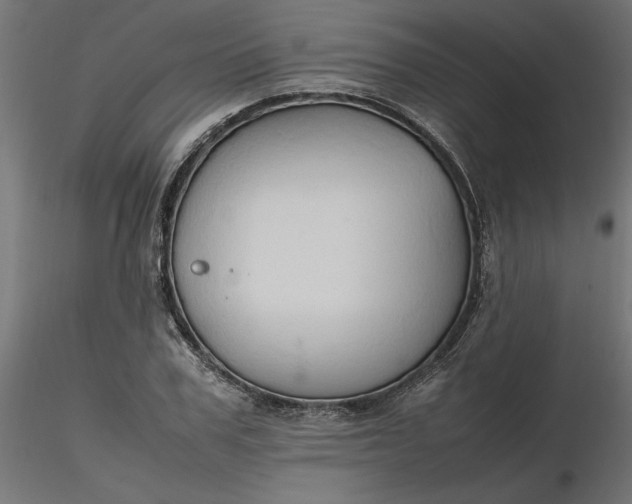 X0000116680979200912291716