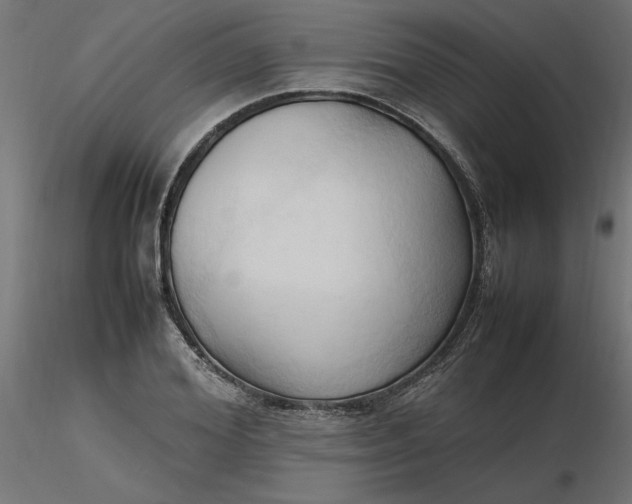 X0000116680980200912291716