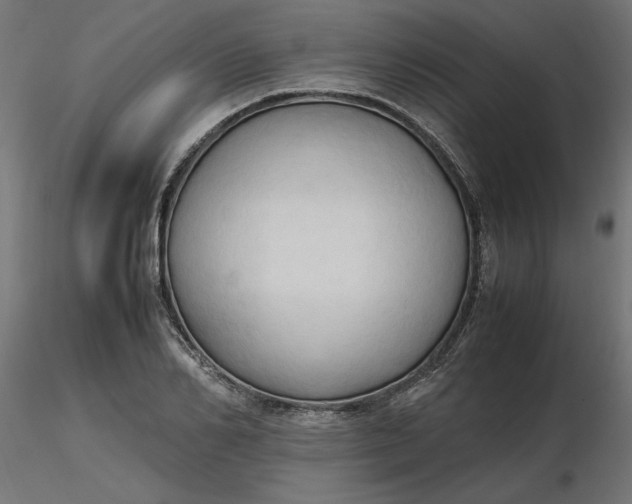 X0000116680982200912291716