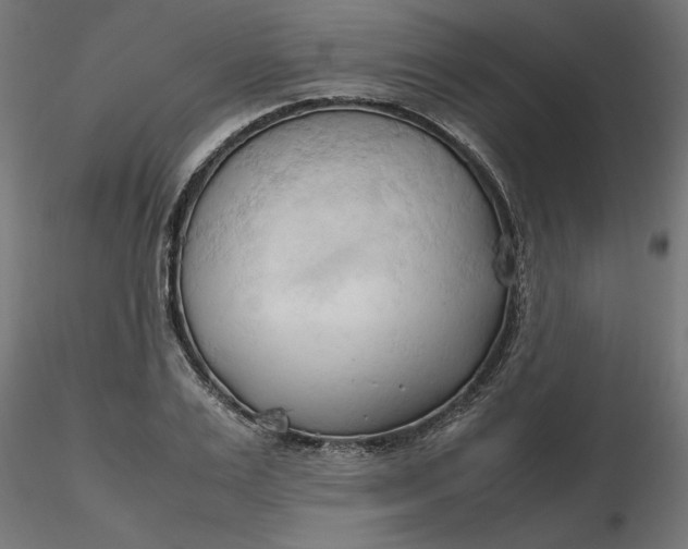 X0000116680983200912291716