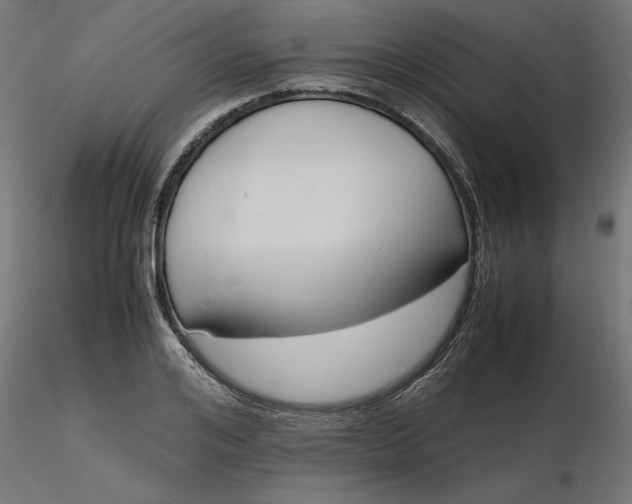 X0000116680984200912291716