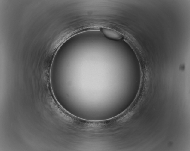 X0000116680985200912291716