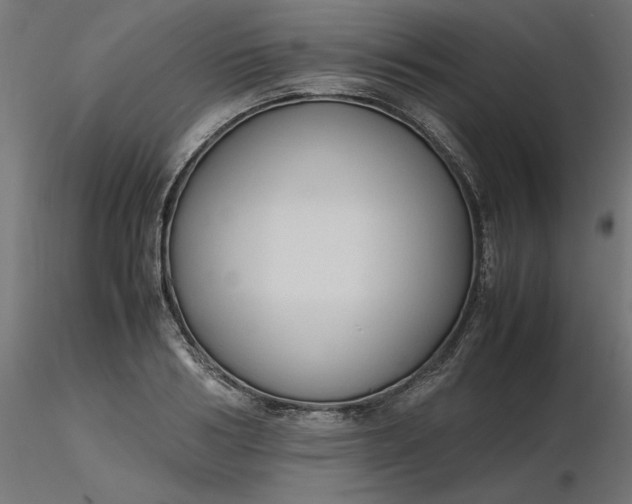 X0000116680986200912291716