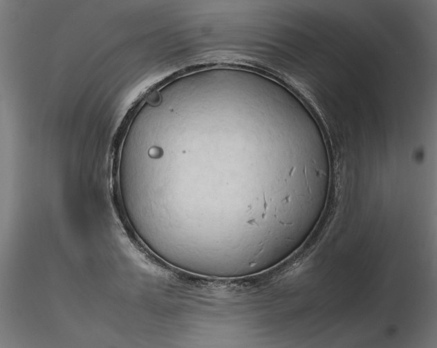 X0000116680987200912291716