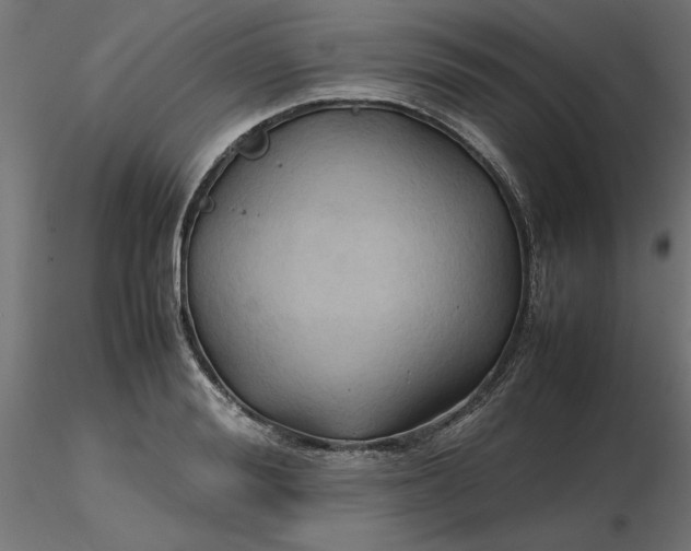 X0000116680988200912291716