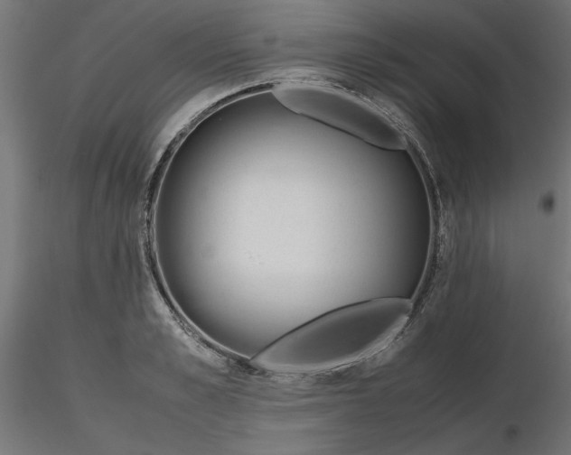 X0000116680989200912291716