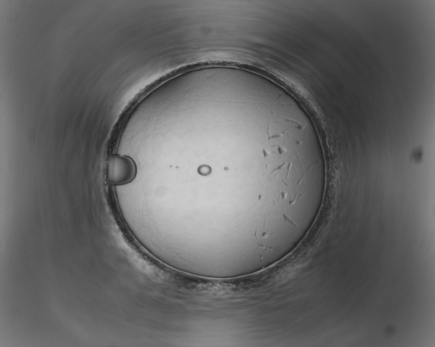 X0000116680991200912291716