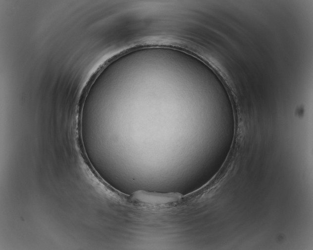 X0000116680992200912291715