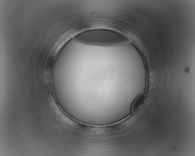 X0000116680993200912291715