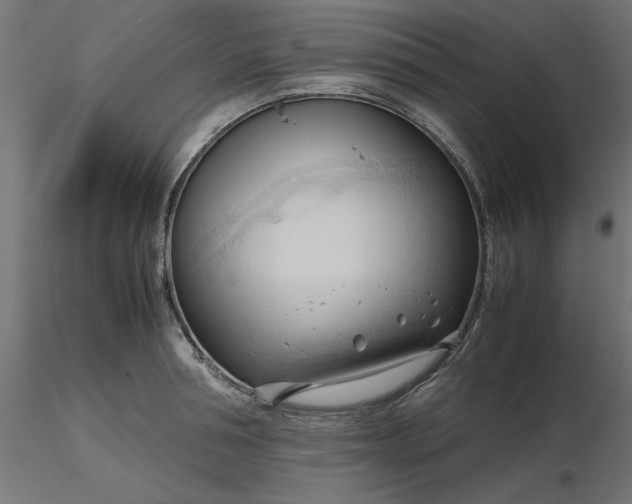 X0000116680994200912291715