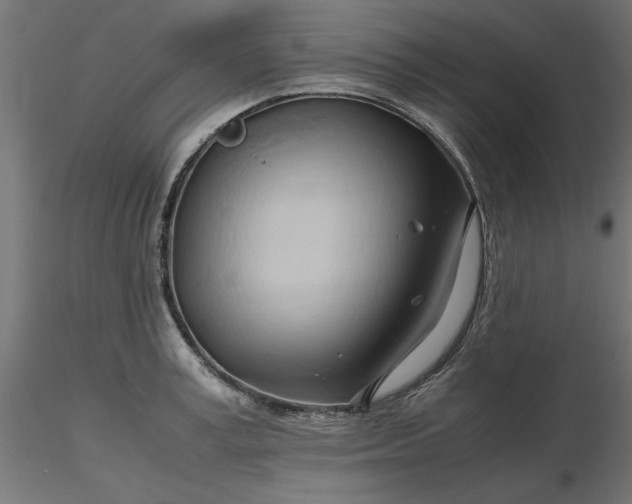 X0000116680995200912291715