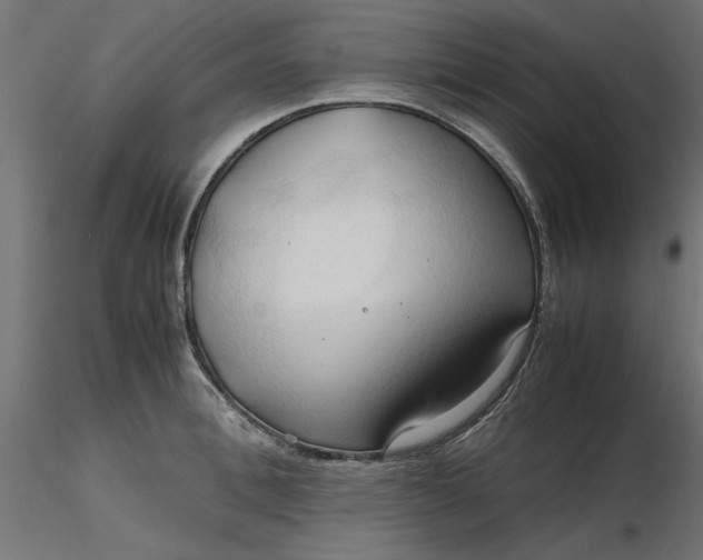 X0000116680996200912291715