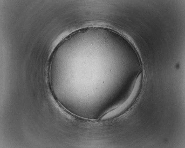 X0000116680997200912291715