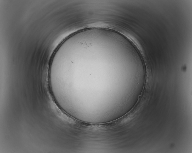 X0000116681000200912291715