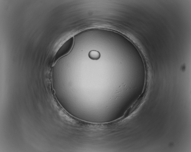 X0000116681001200912291715