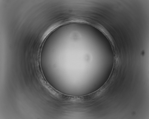 X0000116681002200912291715