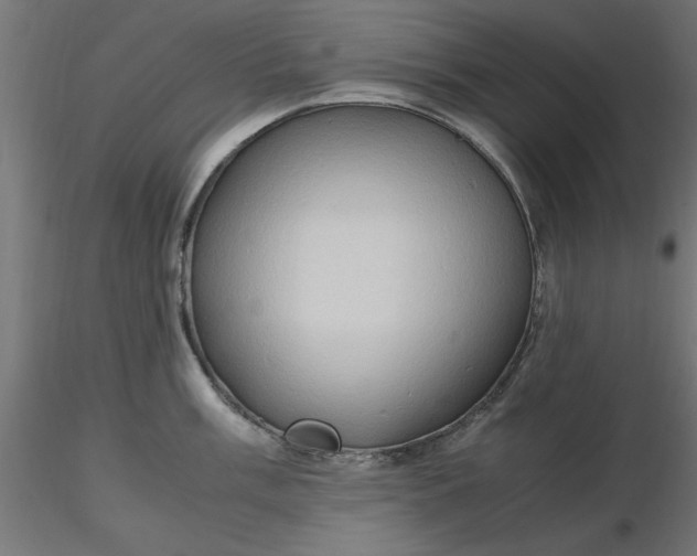 X0000116681003200912291715