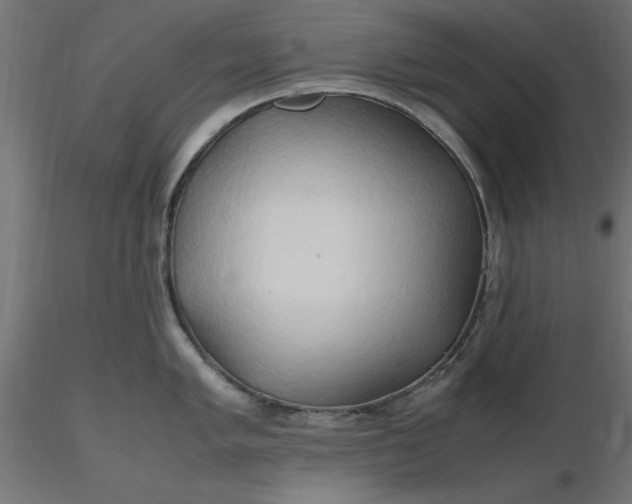 X0000116681005200912291715