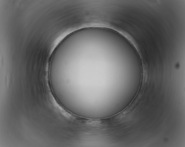 X0000116681006200912291715