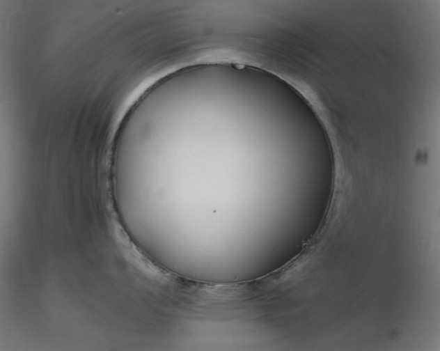 X0000116681008200912291715