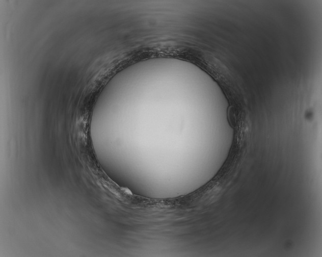 X0000116681010200912291715