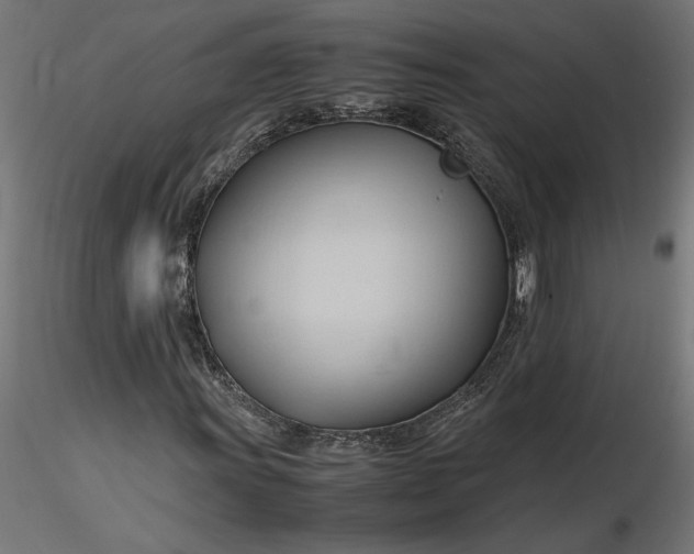 X0000116681011200912291715