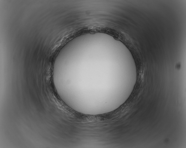 X0000116681012200912291715