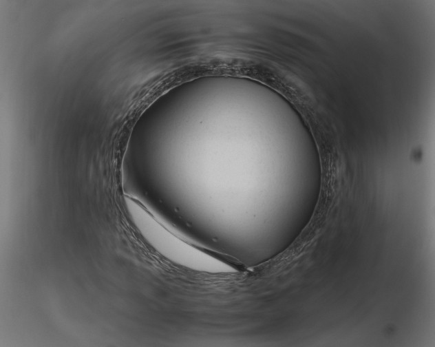 X0000116681013200912291715