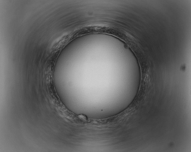 X0000116681014200912291715