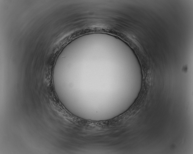 X0000116681015200912291715