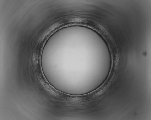 X0000116681017200912291715