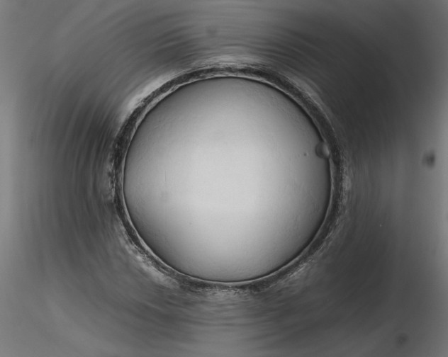 X0000116681018200912291715