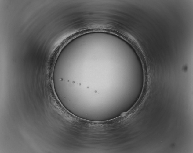 X0000116681019200912291715