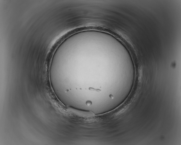 X0000116681021200912291715