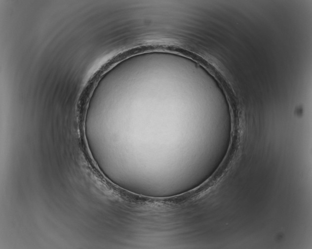 X0000116681022200912291715