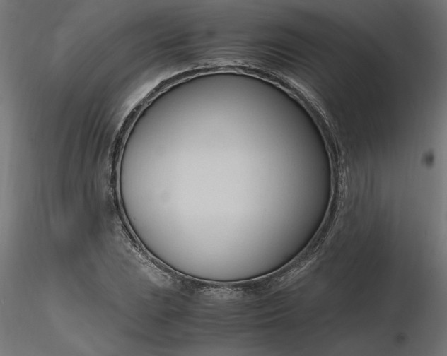 X0000116681023200912291715